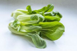 Le pak-choi ou bok choy