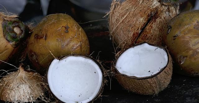 Tout savoir sur l’usage de la noix de coco