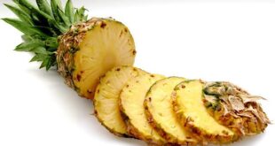 Tout savoir sur l'usage de l'ananas