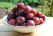 Bénéficier les bienfaits de la prune
