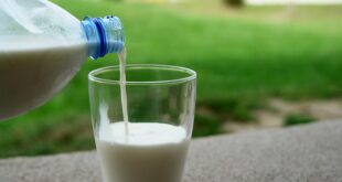 Lait de chèvre et cholestérol