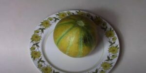 Le melon d’Ogen