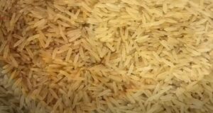 Le riz basmati
